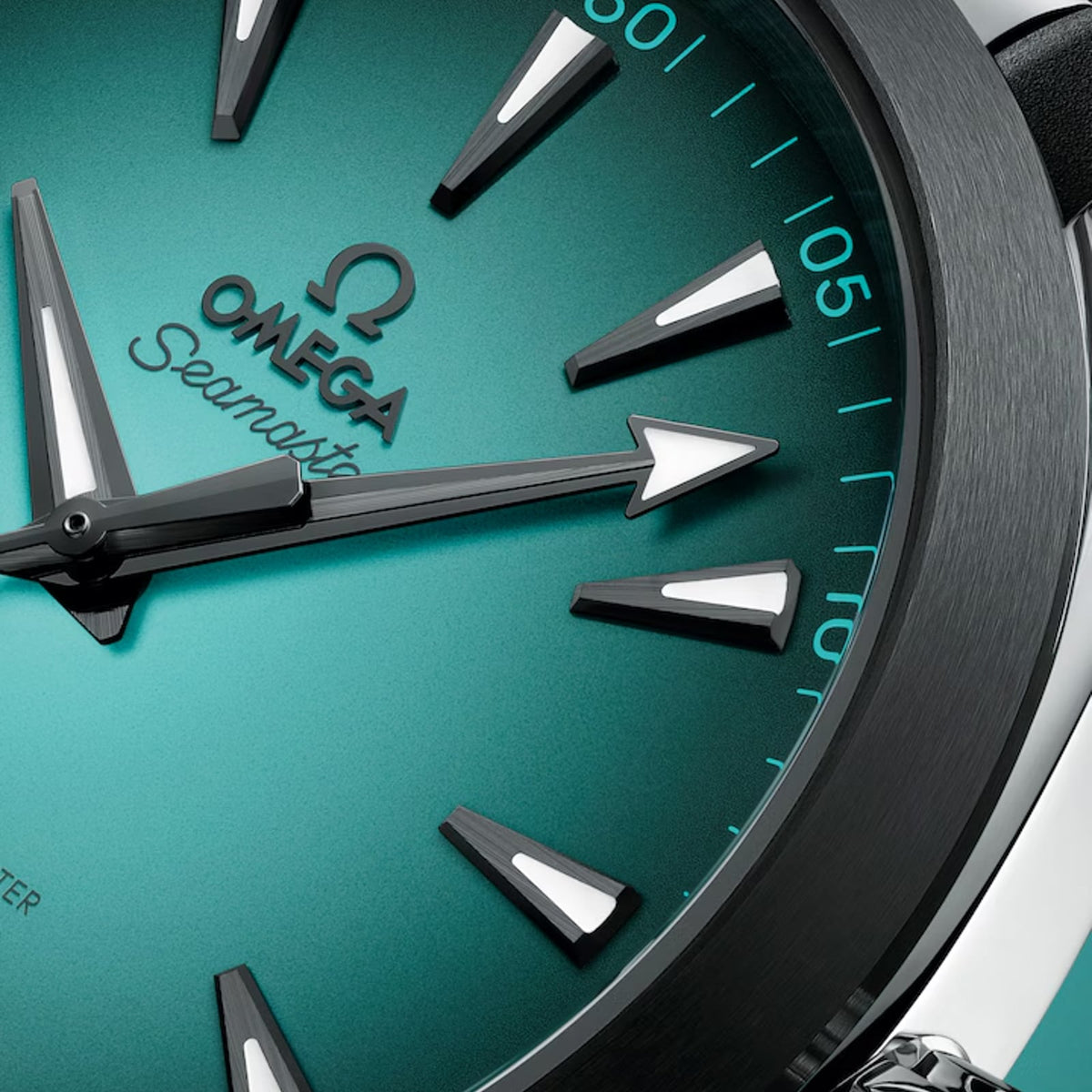 OM. Seamaster Aqua Terra 150M